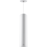 LED chiếu điểm dạng treo 20W ánh sáng vàng DPL-20V DPL-20V MPE