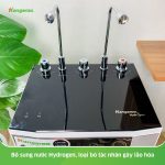 Máy lọc nước Kangaroo Hydrogen 2 vòi KG100HK KG100HK