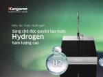 Máy lọc nước Kangaroo Hydrogen KG12HA KG12NA