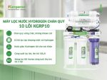 Máy lọc nước Kangaroo Hydrogen chân quỳ KGRP10 KGRP10
