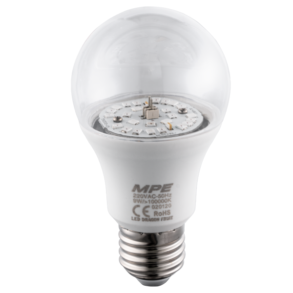 LED Bulb thanh long LBF-9 LBF-9 MPE