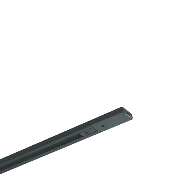 Phụ kiện thanh ray 2 dây màu đen dùng cho đèn TSLB, TSLB2 mã TR2B TR2B MPE