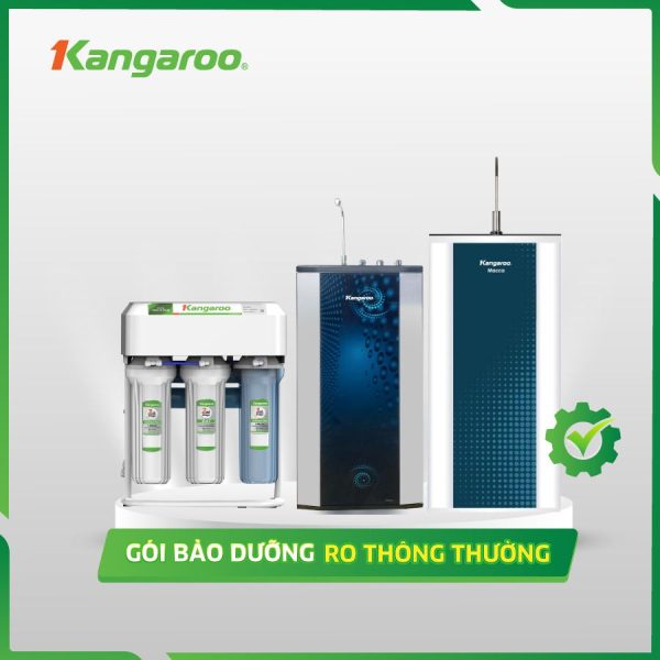 Gói bảo dưỡng máy lọc nước RO VIP1