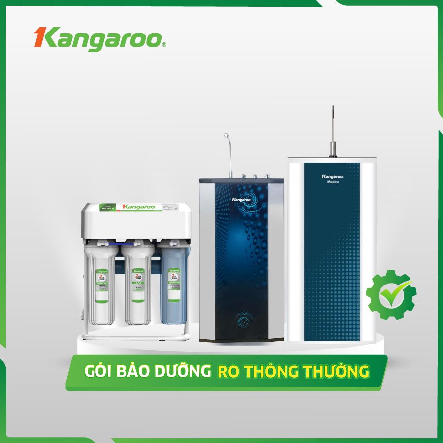 VIP1-0 Gói bảo dưỡng máy lọc nước RO VIP1