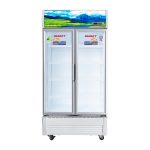 Tủ mát Sanaky VH-1009HP3 inverter 900 Lít 2 cánh VH-1009HP3 Sanaky